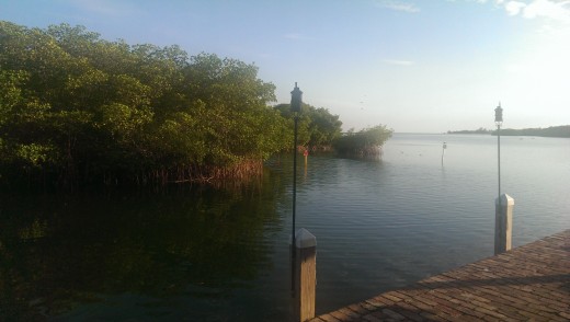 Lunch plats i nationalparken Everglades