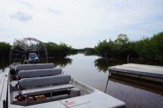 Everglades i Florida, svävare. båt
