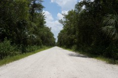 Grusväg i Florida USA