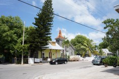 En gata i Key West Florida